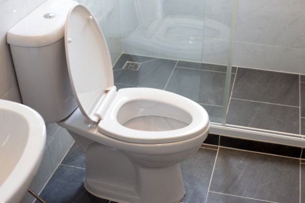 Toilet Replacement in Sarasota