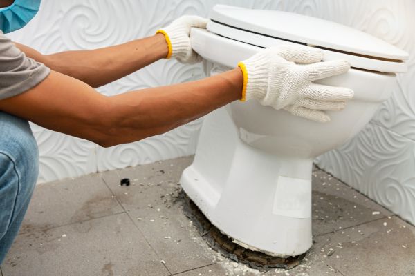 Cost of Toilet Removal in Sarasota