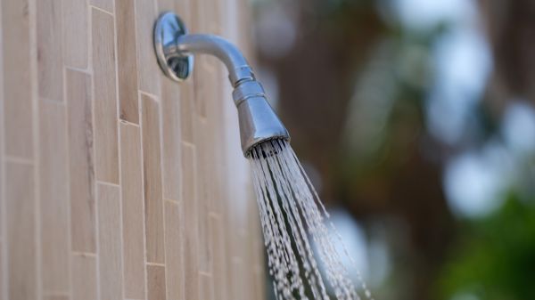 Cost of Showerhead Repair in Sarasota