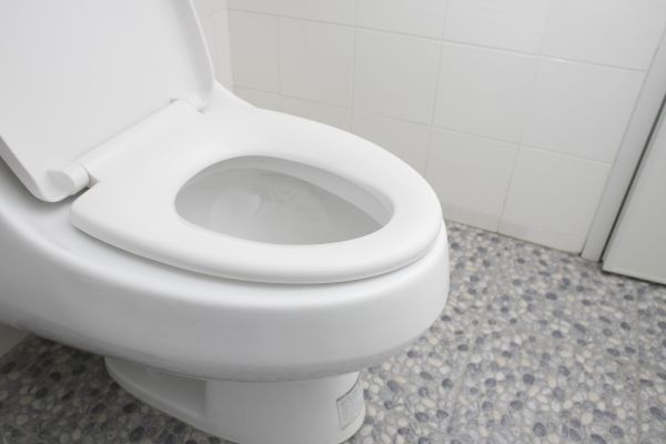 New Toilet Installation in Sarasota