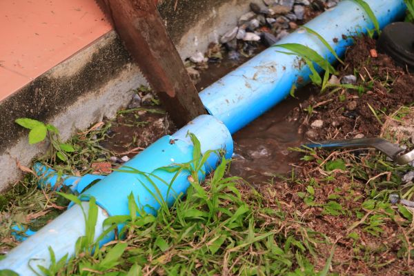 Cost of Broken Pipe Replacement in Sarasota