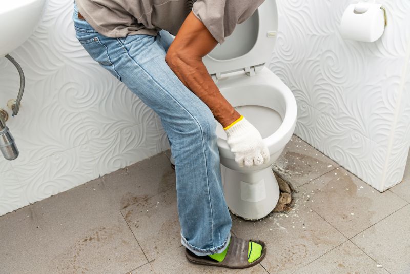 Toilet Removal